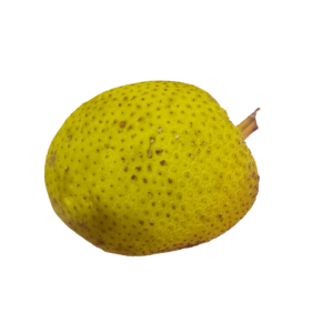 Nirphanas