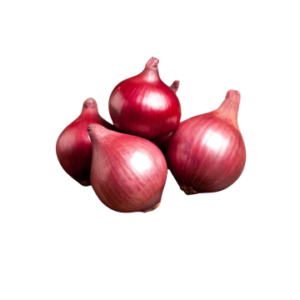 Onion (Kanda)