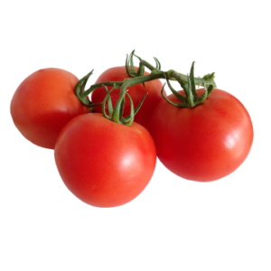 Tomato