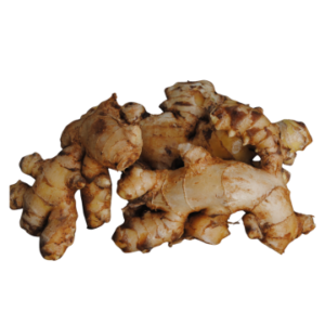 Ginger (Aale)