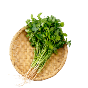 Coriander ( Kothimbir)
